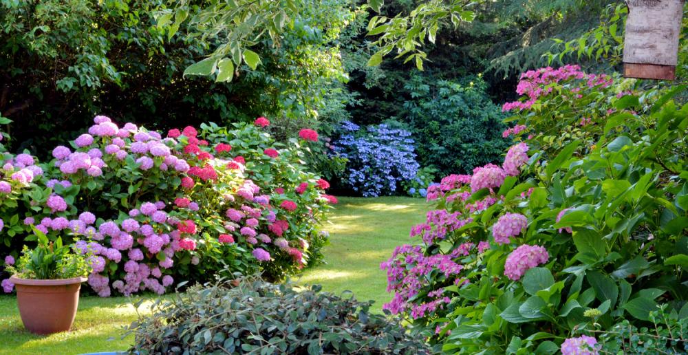 création-jardin.jpg